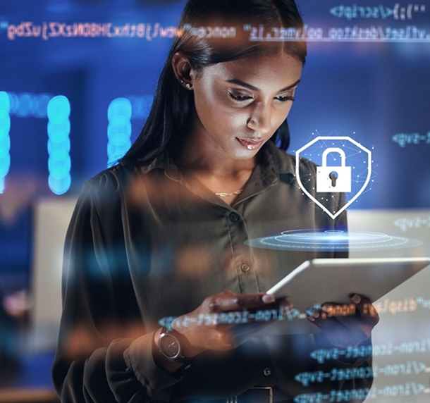Institutional Governance and Security